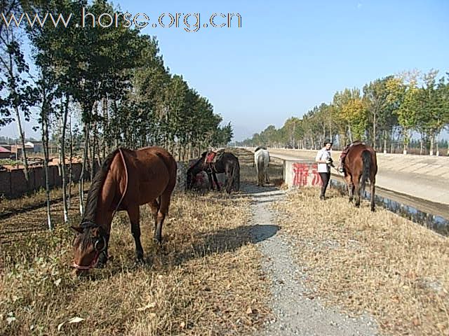 英国铁娘子从中国骑到伦敦，10月25已抵京，来年再踏征程