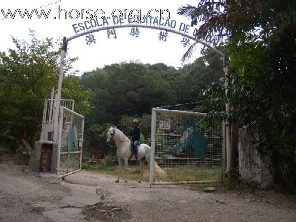 澳门_弹丸之地也有野骑