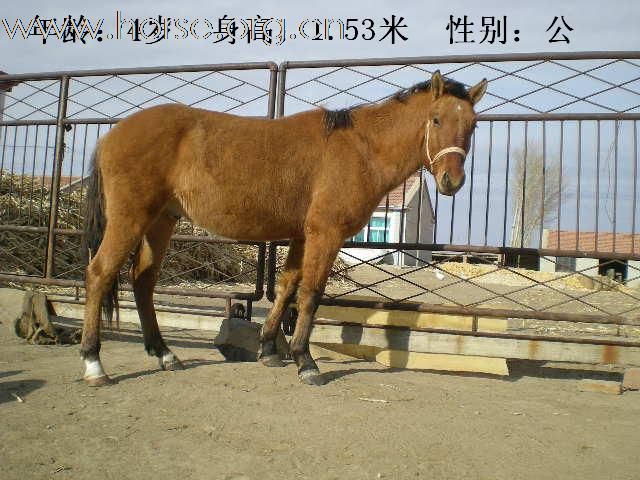 新马照片来了，大家看看吧！