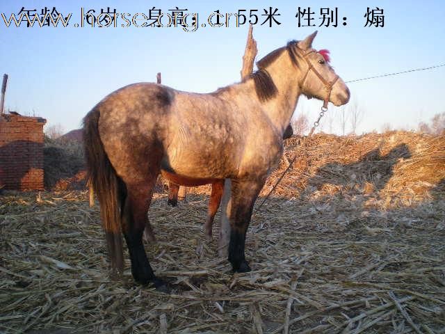 新马照片来了，大家看看吧！