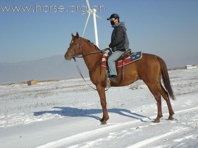 冬至——2008的第一场雪