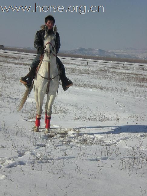 冬至——2008的第一场雪