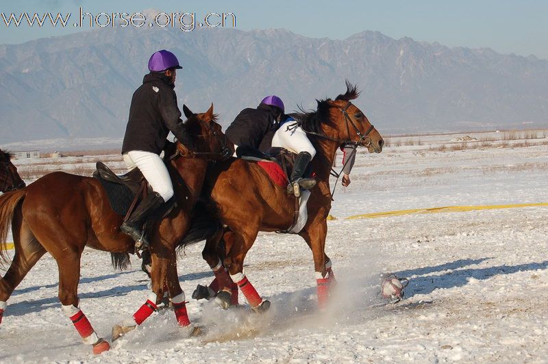 世界第一场雪地马篮球比赛在京西草原举行（乌扎拉拍摄）