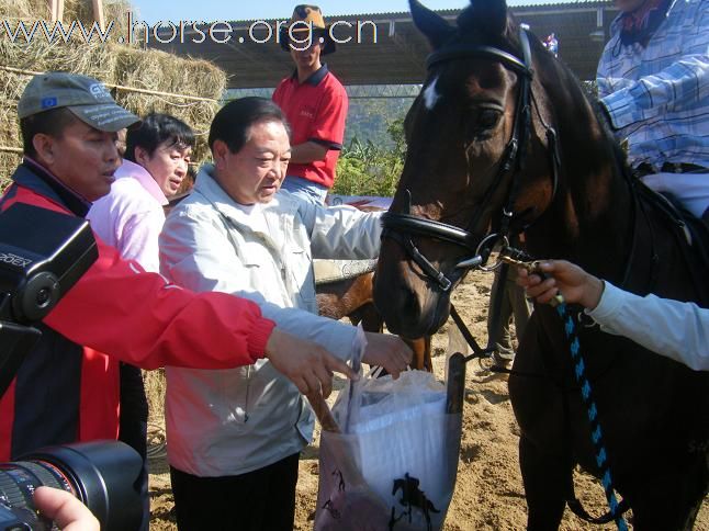深圳伊玛特马具倾情赞助广州天麓马术场地障碍常规赛