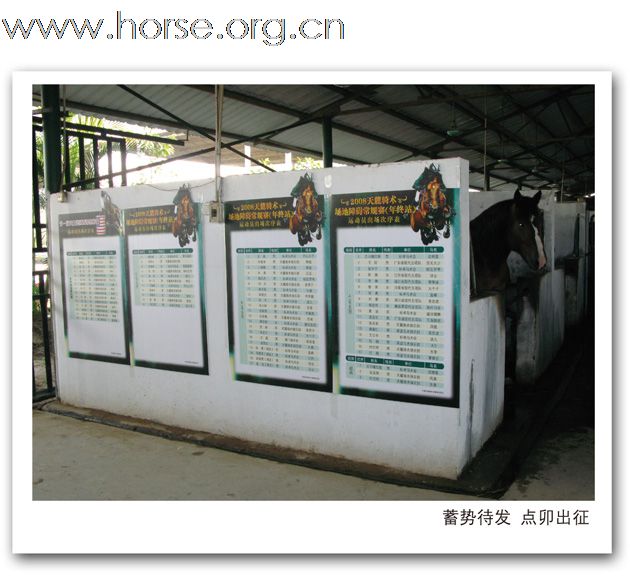 2008年天麓场地障碍常规赛（年终站）精彩猎影（一）