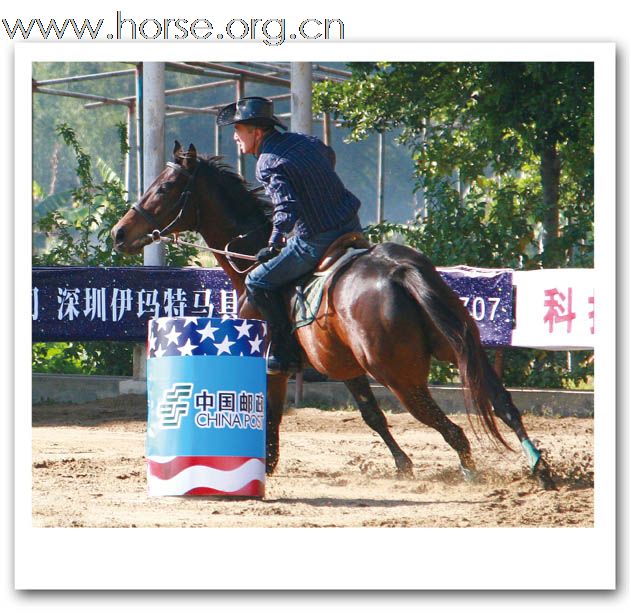 2008年天麓场地障碍常规赛（年终站）精彩猎影（一）