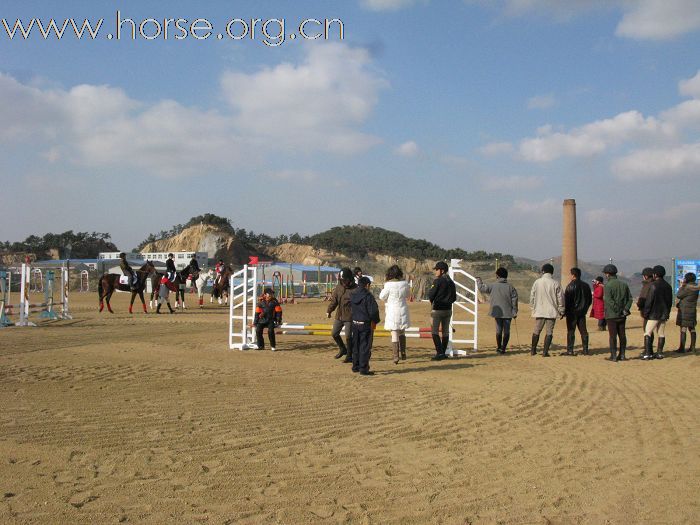 贺凤凰马术俱乐部-----2008场地障碍赛圆满成功!