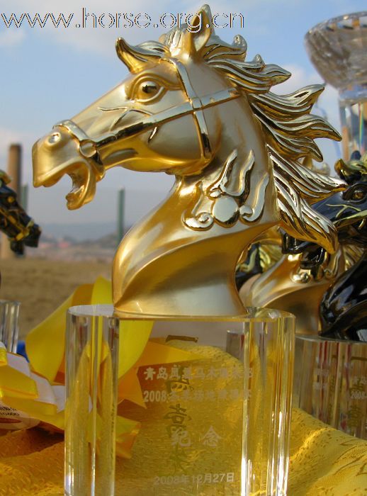 贺凤凰马术俱乐部-----2008场地障碍赛圆满成功!