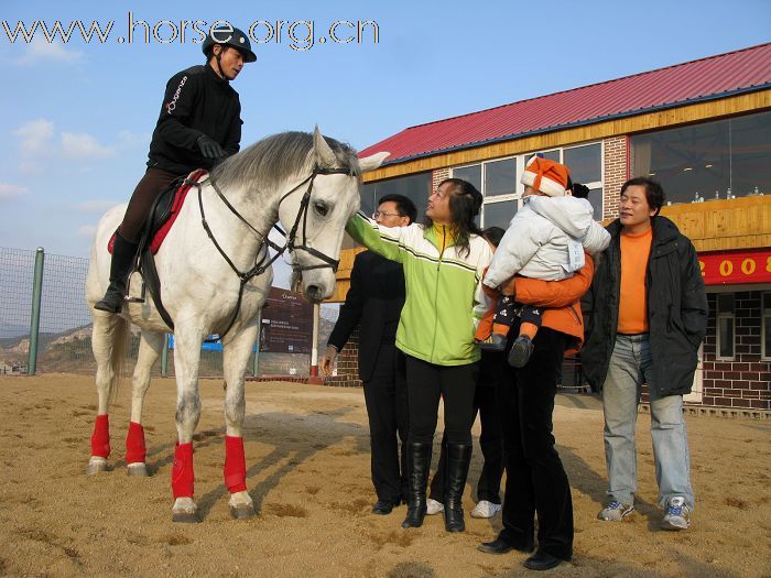 贺凤凰马术俱乐部-----2008场地障碍赛圆满成功!