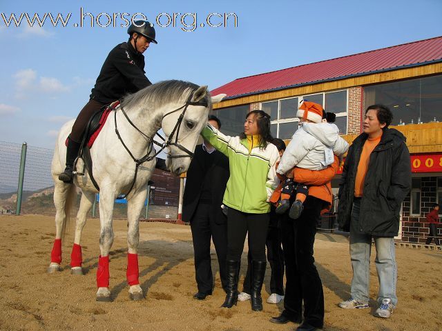 贺凤凰马术俱乐部-----2008场地障碍赛圆满成功!