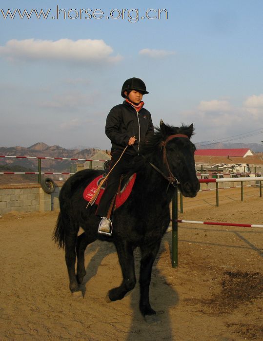 贺凤凰马术俱乐部-----2008场地障碍赛圆满成功!