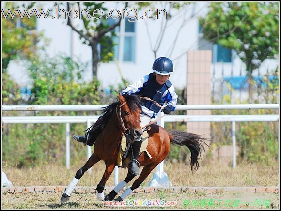 视频：实拍内地首次商业赛马比赛现场