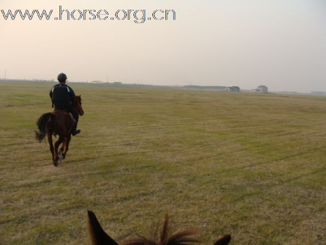 骑马探路环阳澄湖约150KM--非盈利自助活动