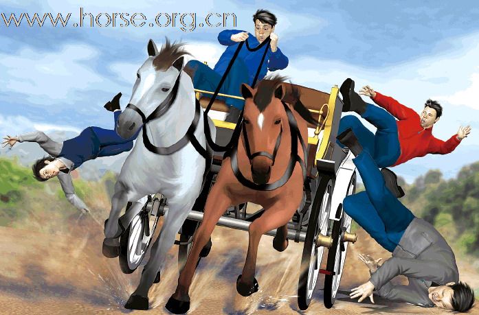 上水雙魚河騎術學校，發生罕見墮馬車意外