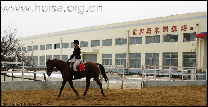 大年初一德瑞骑马去!!!