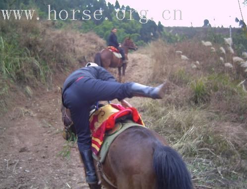 周三 粗粗的野骑 写真集