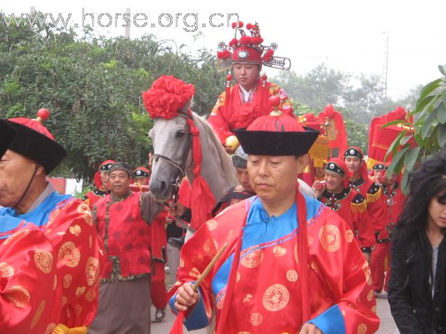 礼仪马队之我践