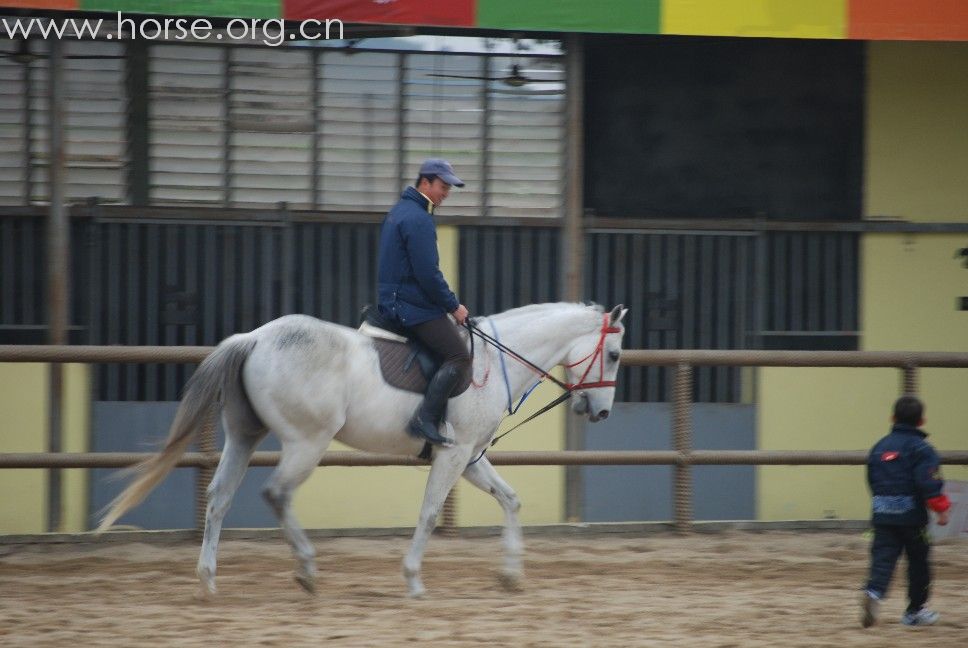 真正坐言起行推廣馬術運動的廣州標卓馬場老闆楊文傑