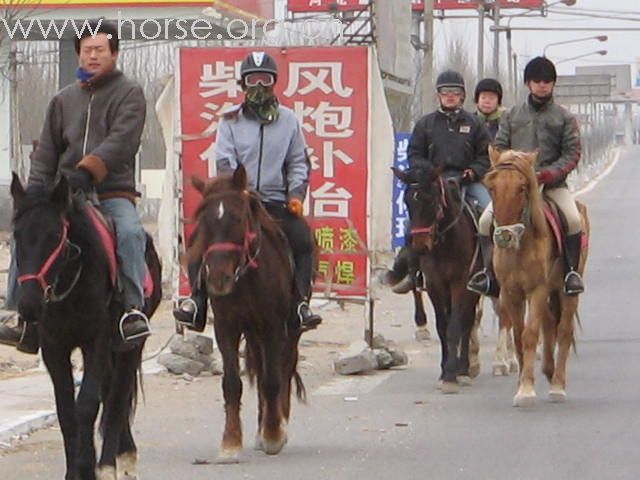 2月23日（周六）马球初体验