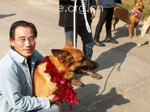 [贴图]傳統的馬友聚會：BOXING DAY MEET (在粉嶺高爾夫球會)