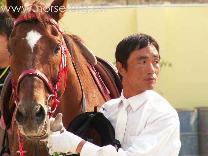 [贴图]標卓馬術會的比賽(I) 天使、裁判、人和馬