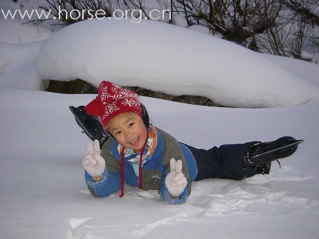 [原创]零下三十度锦儿与马---哈尔滨雪乡游