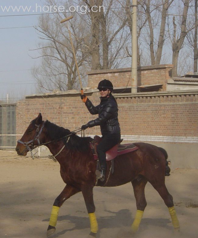 [贴图]2008德龙马球初体验