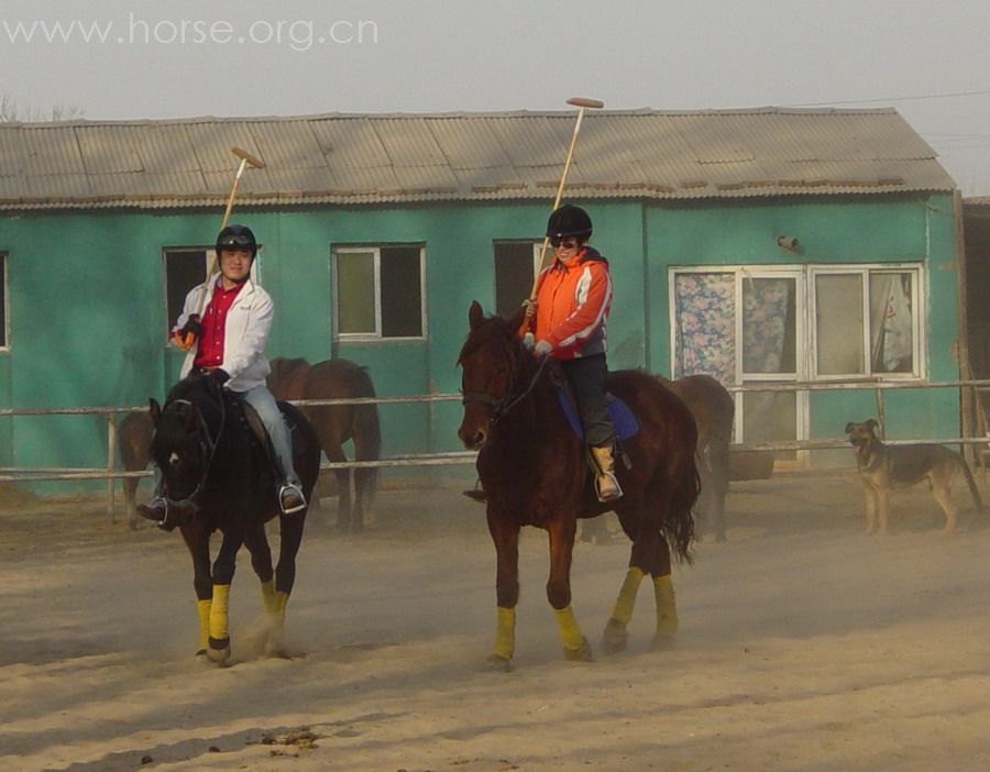 [贴图]2008德龙马球初体验