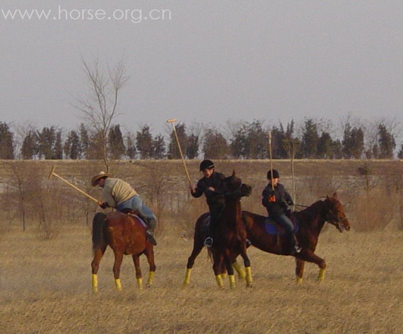 [贴图]2008德龙马球初体验