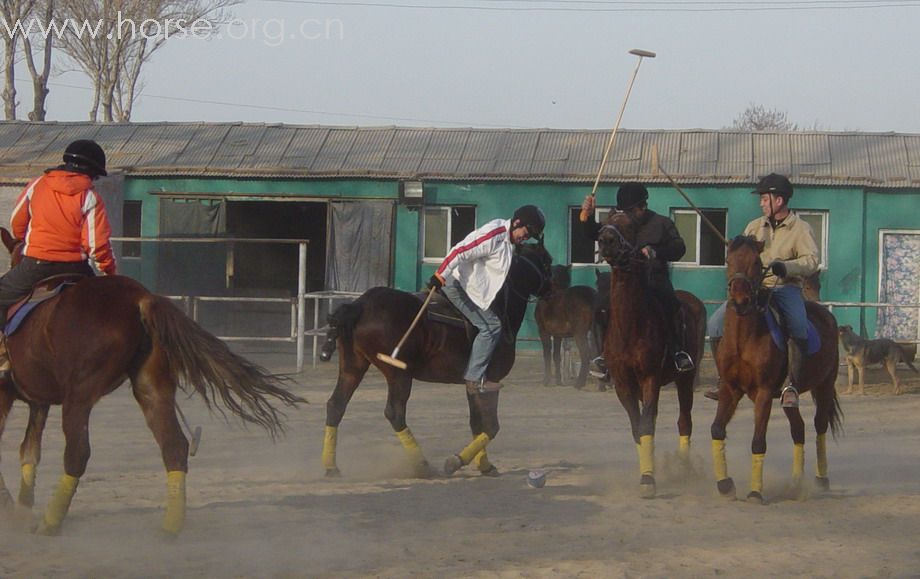 [贴图]2008德龙马球初体验