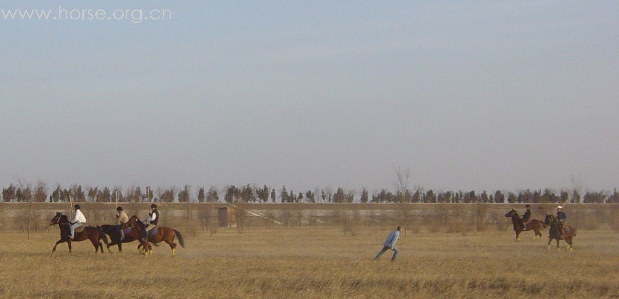 [贴图]2008德龙马球初体验