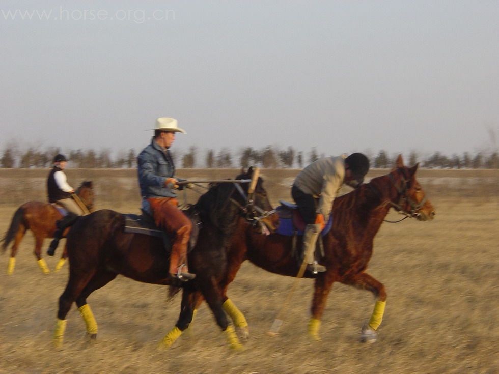 [贴图]2008德龙马球初体验
