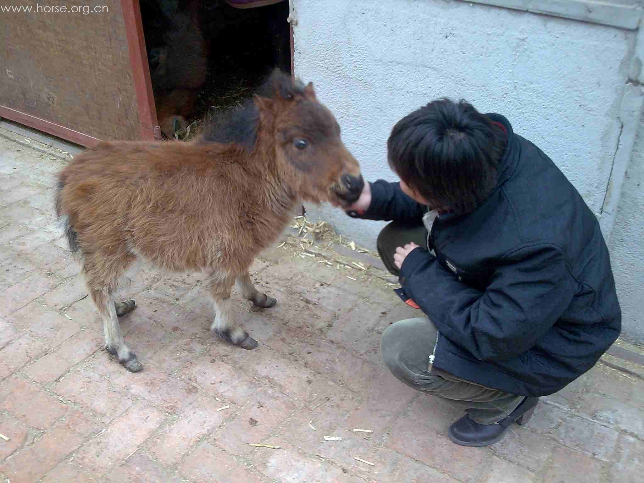 [分享]鼠年吉祥^_^