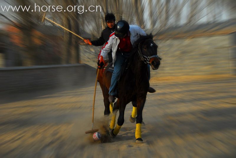 鏖战永定河谷——2月23日陈良马场polo体验照片
