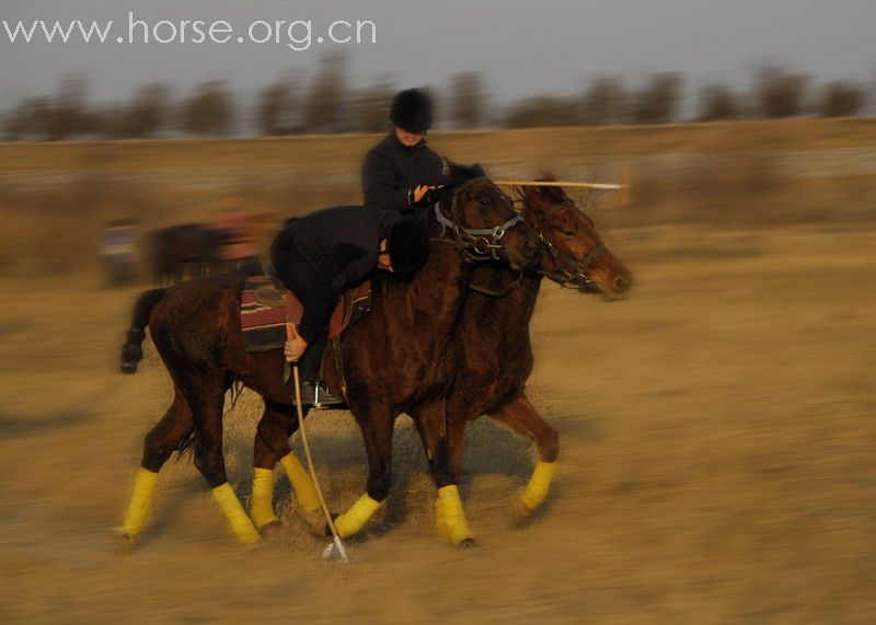 鏖战永定河谷——2月23日陈良马场polo体验照片
