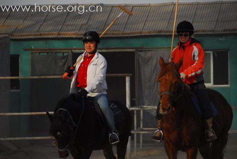 鏖战永定河谷——2月23日陈良马场polo体验照片