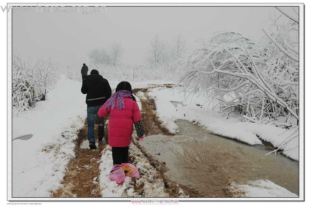 2月2日下了好大一场雪