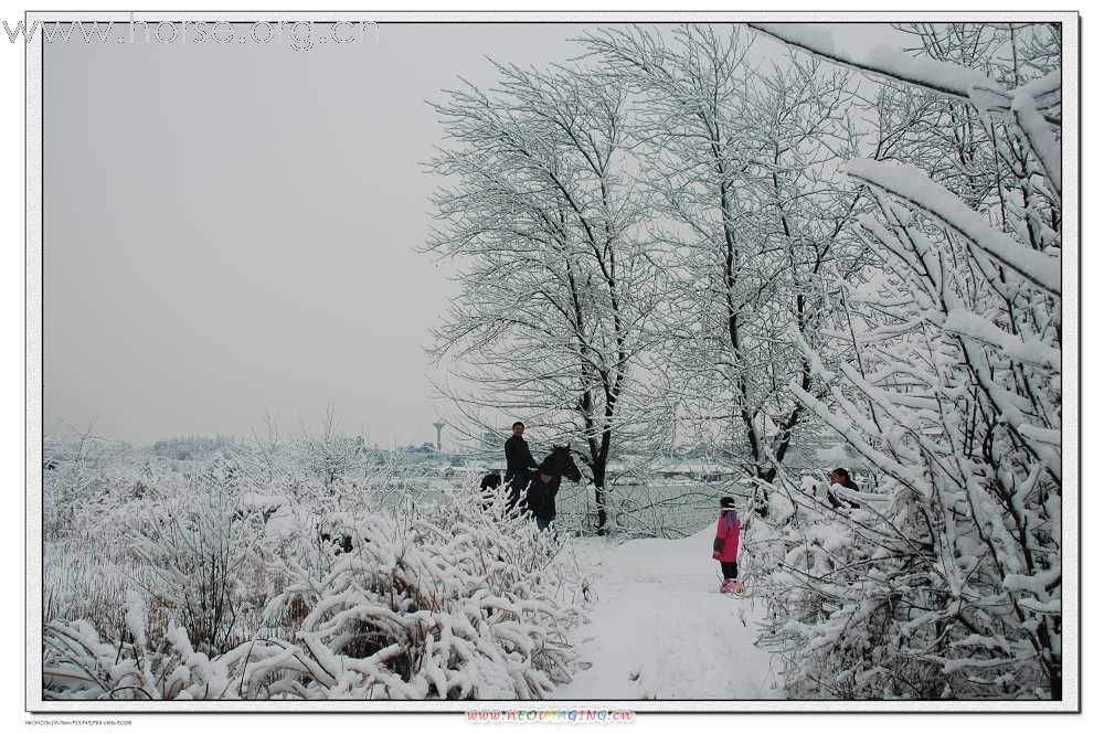 2月2日下了好大一场雪