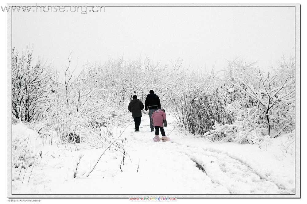 2月2日下了好大一场雪