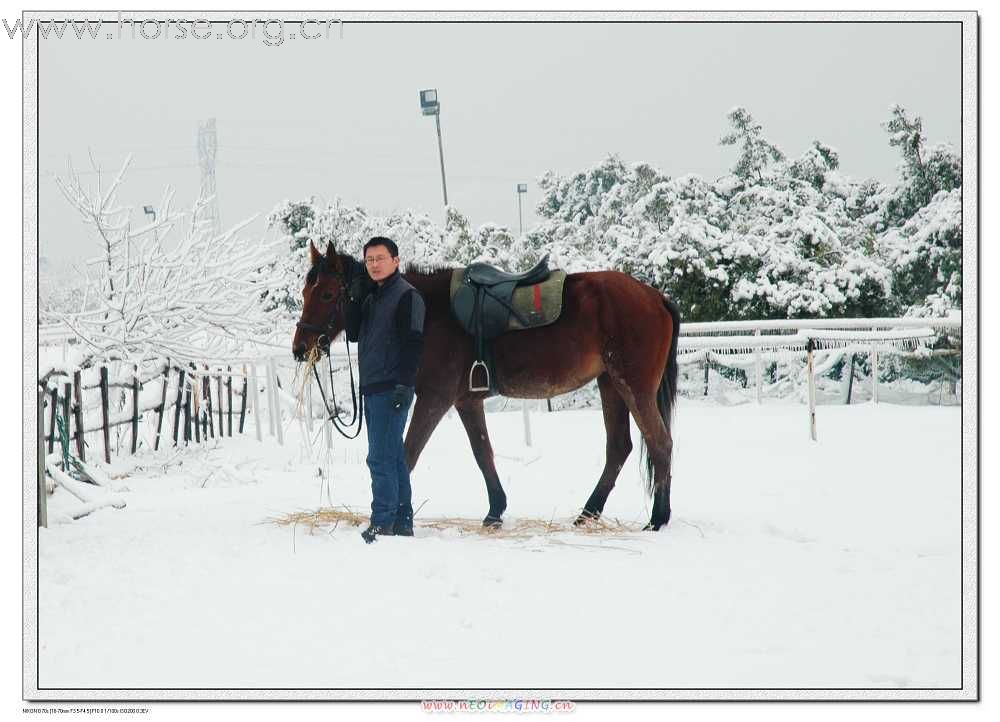 2月2日下了好大一场雪