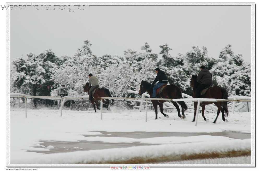 2月2日下了好大一场雪