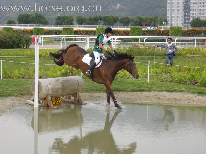 2008.01.13 OneDayEvent 一日賽事。沙田