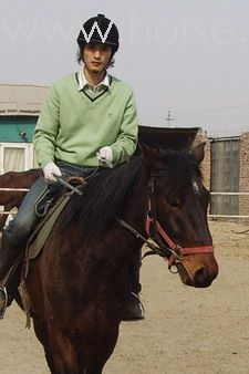 试试发图片