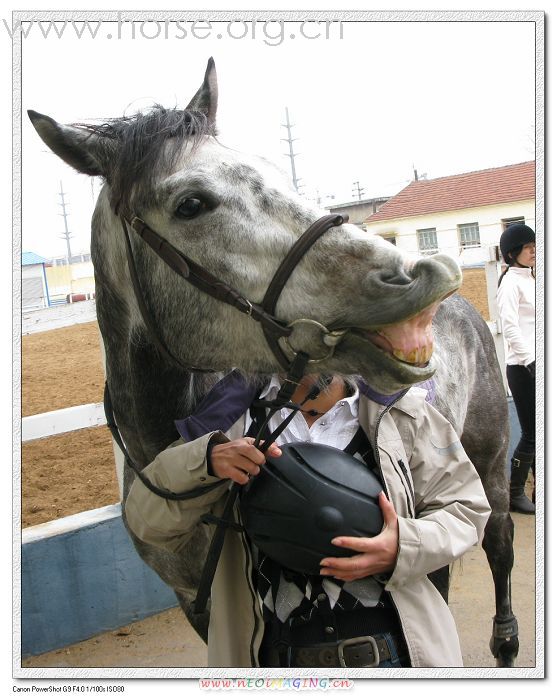 本周六德瑞骑马去!