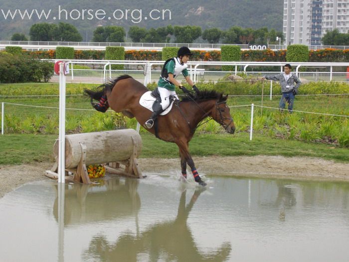 2008.01.13 OneDayEvent 一日賽事。沙田