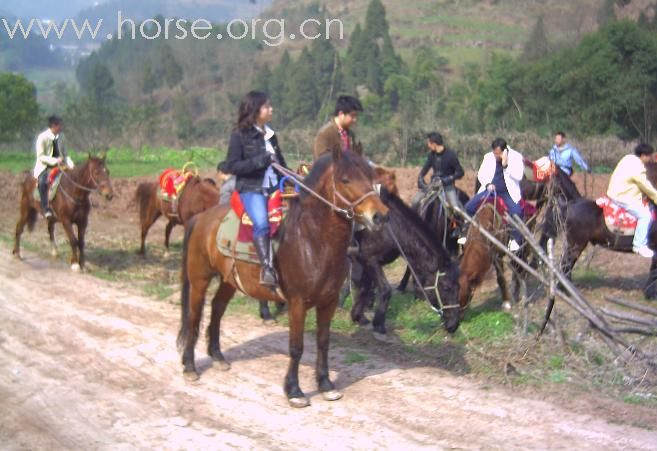 08年3月2号 马帮的春游活动