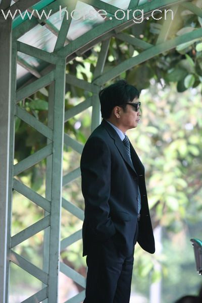 [贴图]广东.残奥会马术资格赛