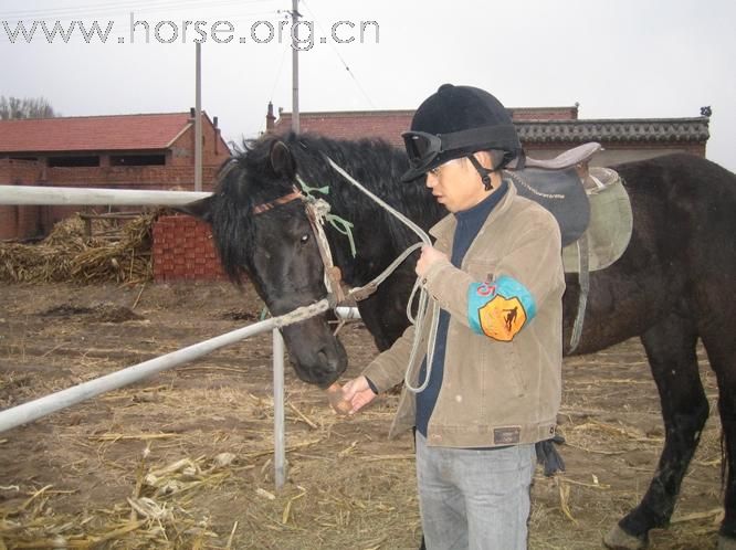 [灌水]   四川马友体验环湖骑马耐力赛