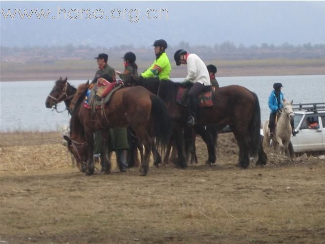 [灌水]   四川马友体验环湖骑马耐力赛