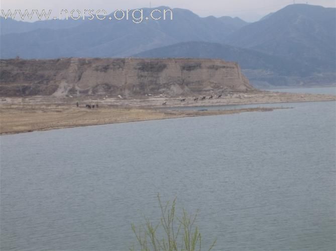 [灌水]   四川马友体验环湖骑马耐力赛